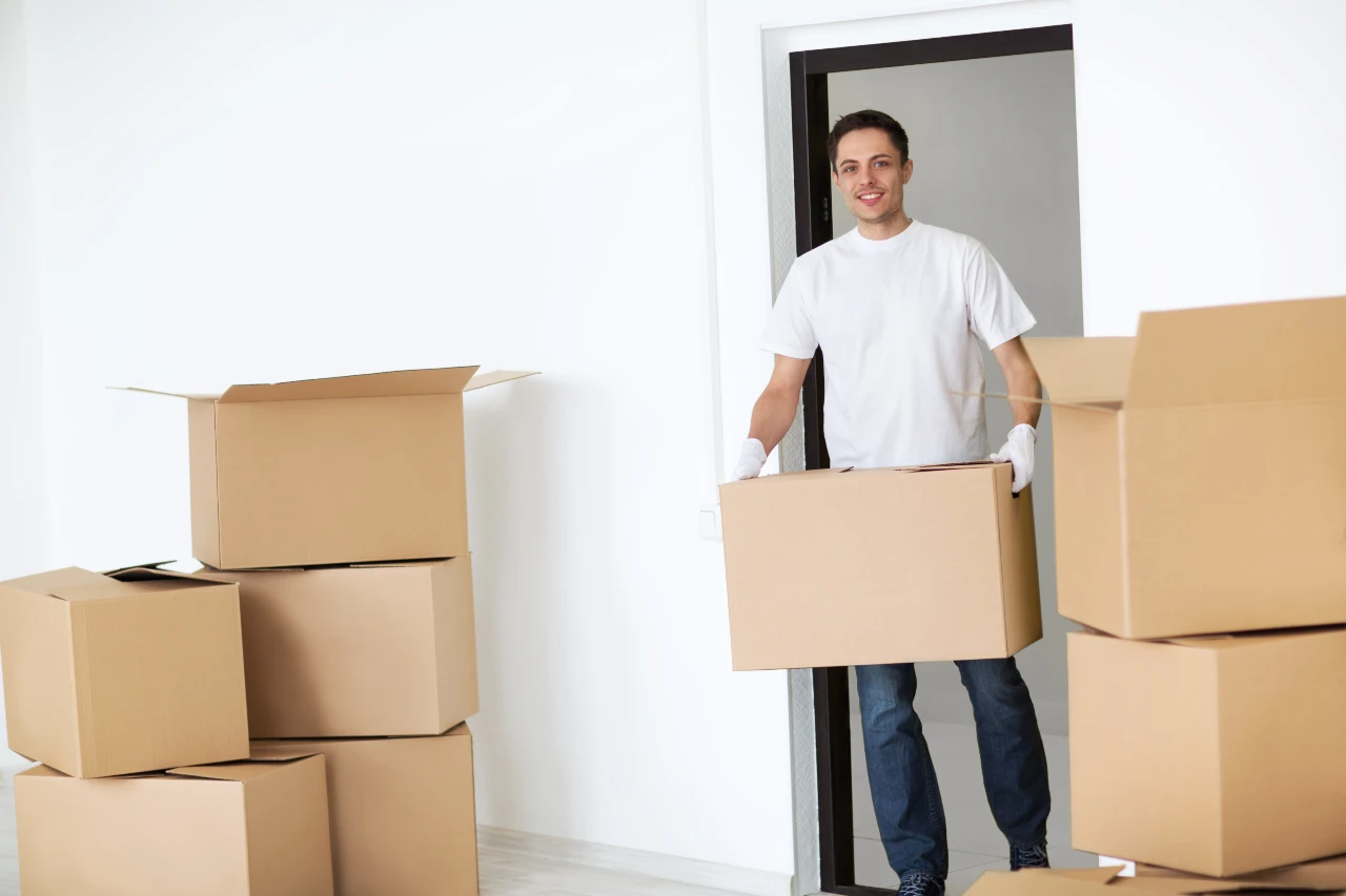 Removals Surrey